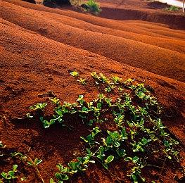 MachineGame成功史：靠修别人修不了的BUG获认可