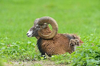 《战地2042》BETA公测将于9月举办 预购玩家可提前参加