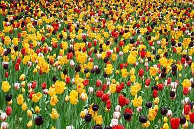 《疑神疑鬼的人》登陆steam发售 精致人狼游戏新作