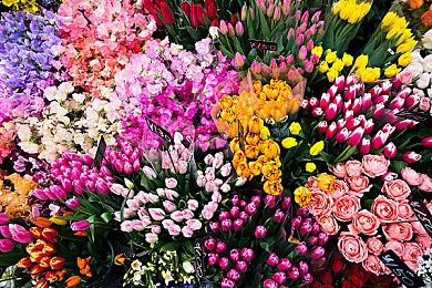 3DM速报：PS5国行售价反涨400块，Steam新版App账号“地区”绑IP？